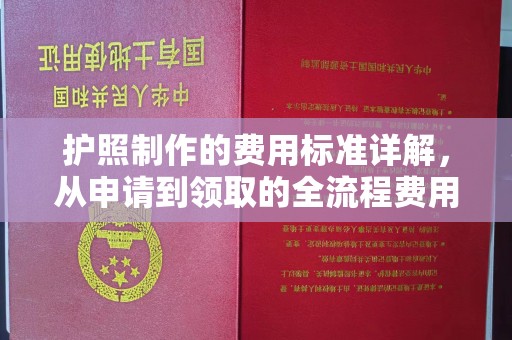 重庆护照制作的费用标准详解，从申请到领取的全流程费用指南