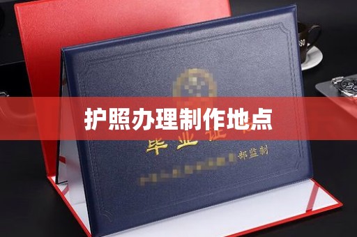 重庆护照办理制作地点