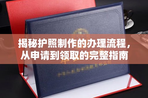 重庆揭秘护照制作的办理流程，从申请到领取的完整指南